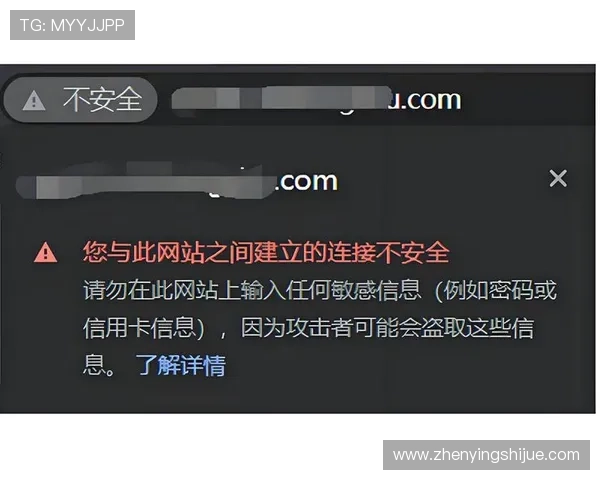 开云KY网址登录线路安全性分析,保障用户信息安全与账号稳定访问